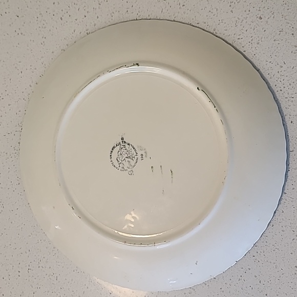 Blue Ridge Southern Potteries Hand painted flower plate - Picture 5 of 7